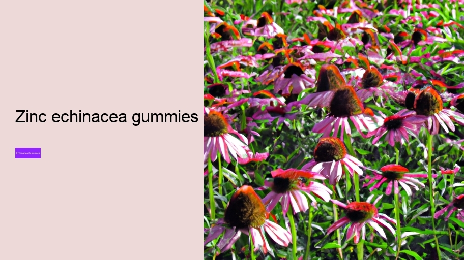 zinc echinacea gummies