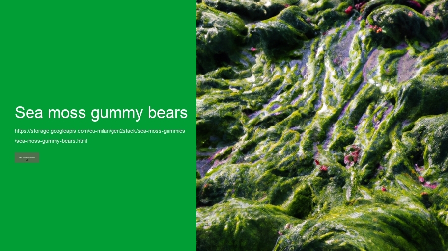 sea moss gummy bears