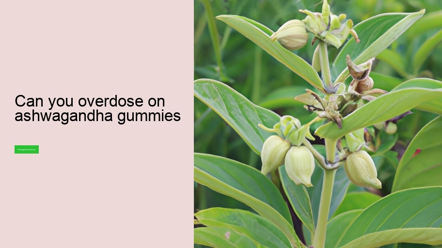 can you overdose on ashwagandha gummies