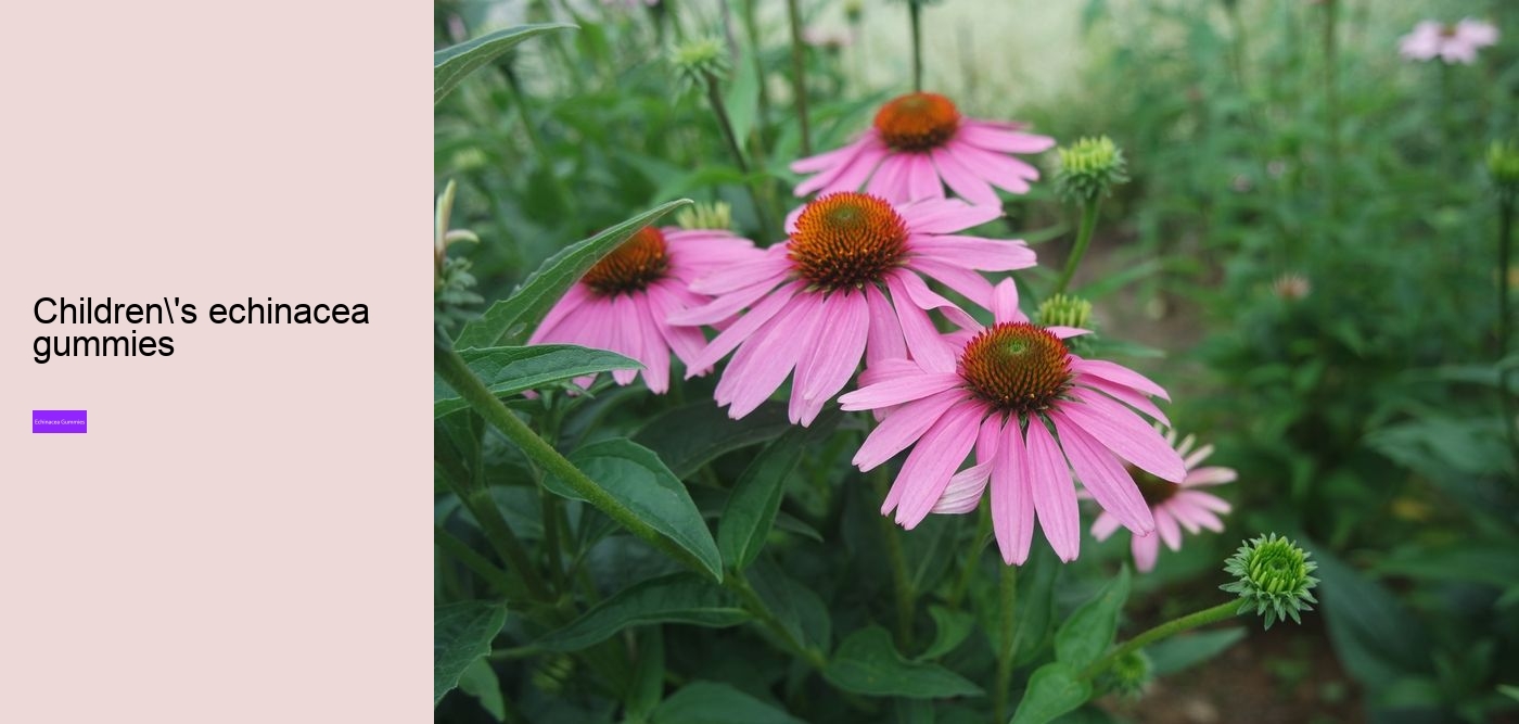 elderberry and echinacea gummies