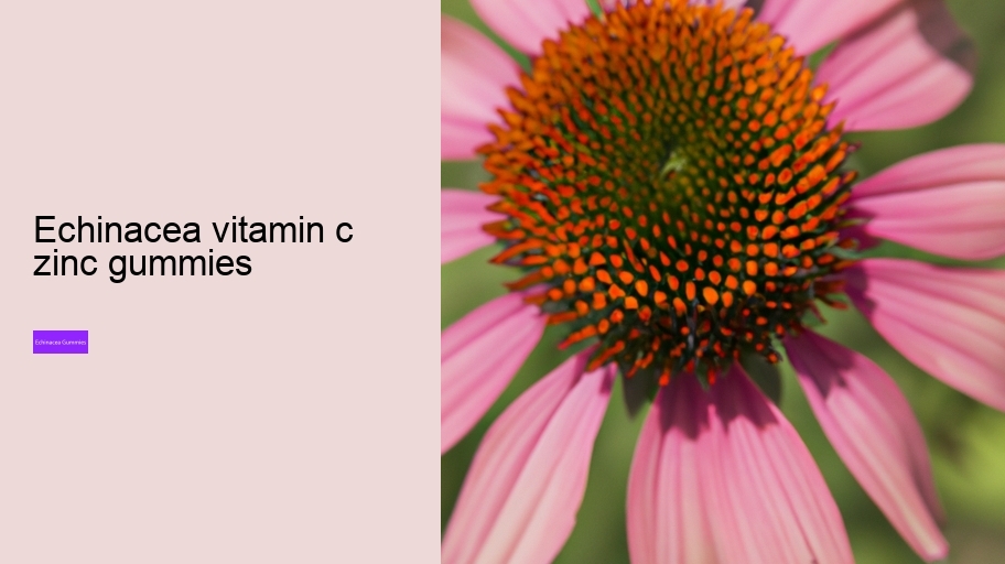 echinacea vitamin c zinc gummies