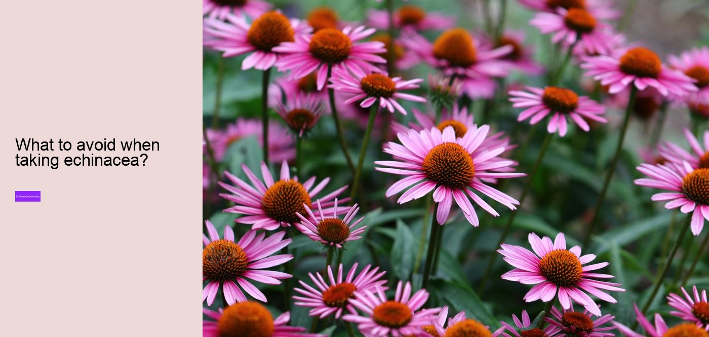 multivitamin gummies with echinacea