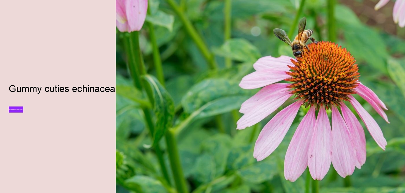 Why not take echinacea on an empty stomach?