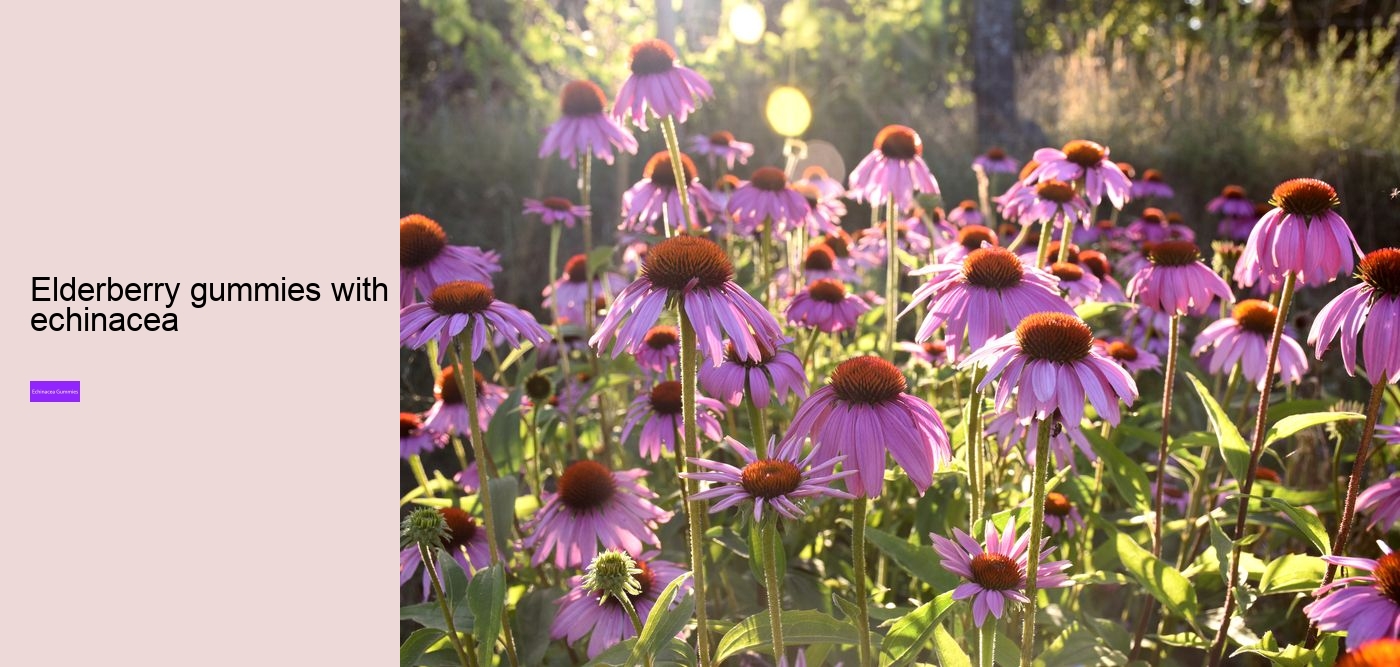 elderberry echinacea gummies