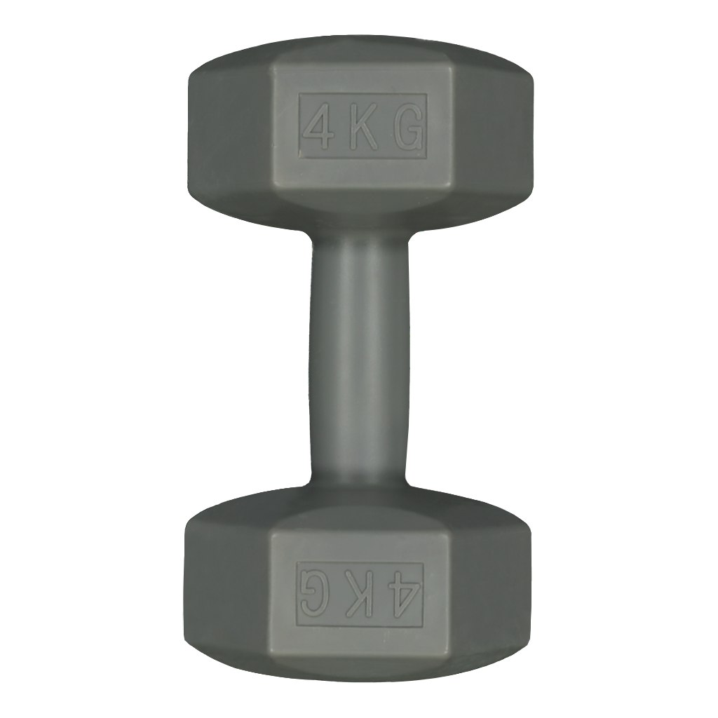 4Kg Grey Dumbbells