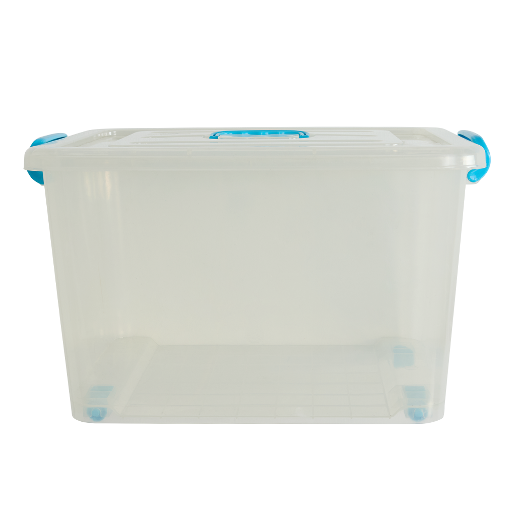 Storage Containers With Lids