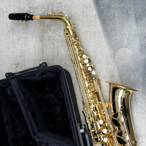 Wat is de beste saxofoon voor mij?