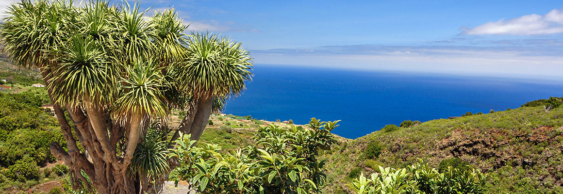 La Palma, Spanien