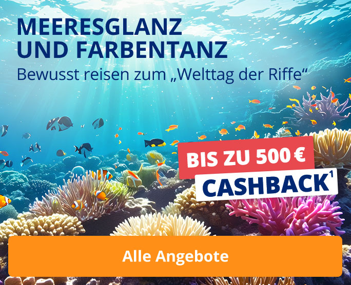 Bewusst reisen zum „Welttag der Riffe