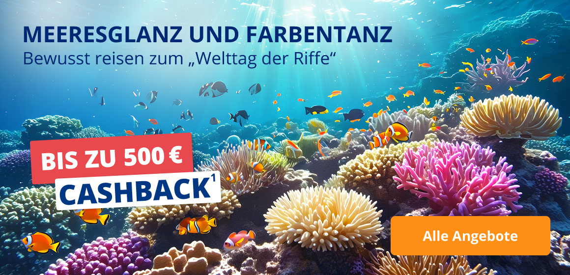 Bewusst reisen zum „Welttag der Riffe