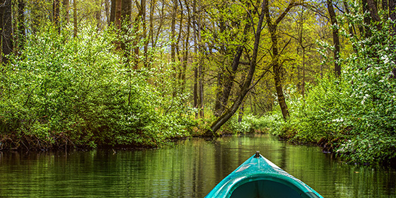 Spreewald