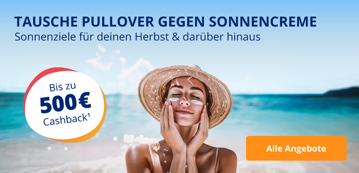 Sonnenziele für deinen Herbst & darüber hinaus
