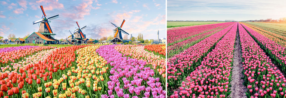 Niederlande