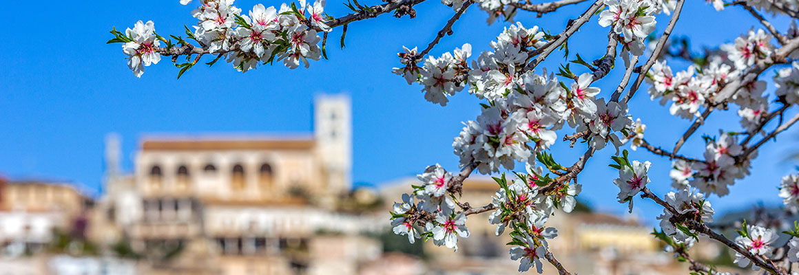 Mallorca, Spanien