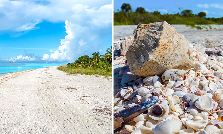Florida, USA