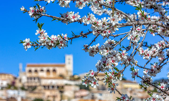 Mallorca, Spanien