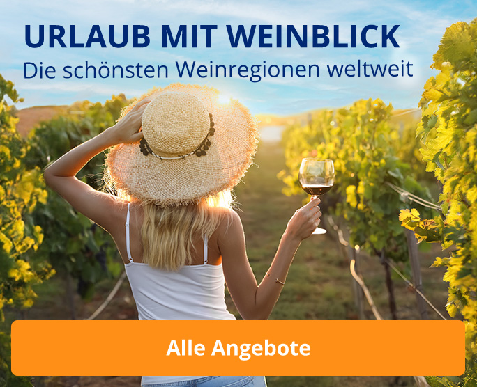 Die schönsten Weinregionen für deinen Urlaub