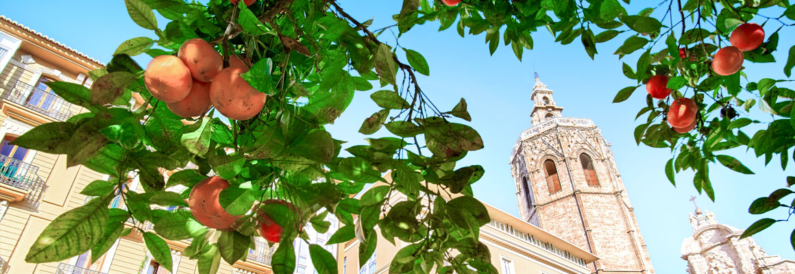 Valencia, Spanien