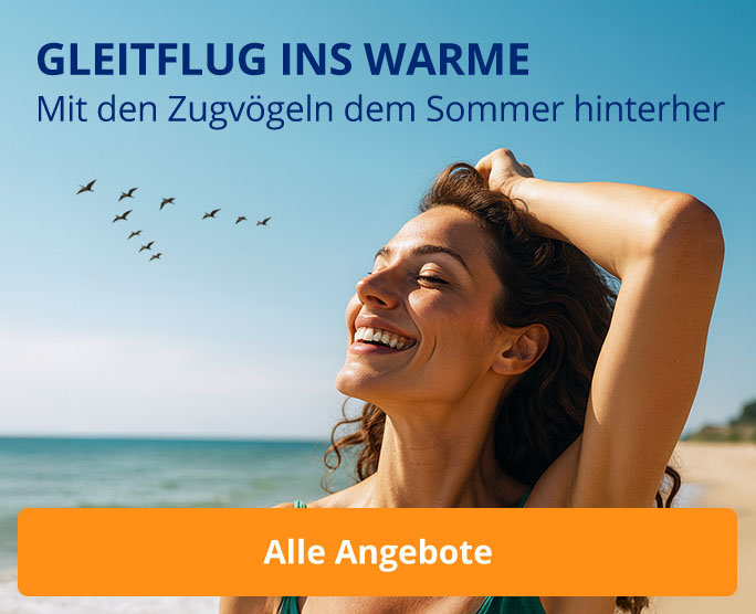 Mit den Zugvögeln dem Sommer hinterher