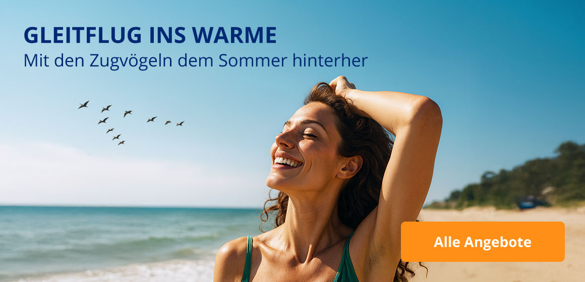 Mit den Zugvögeln dem Sommer hinterher