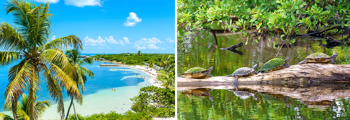 Florida, USA