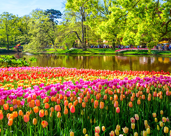 Ausflug Keukenhof