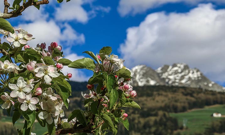 Trentino-Südtirol, Italien