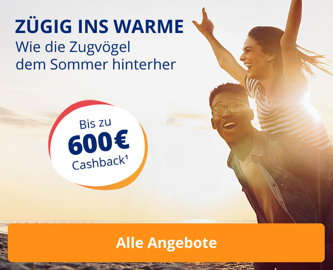 Wie die Zugvögel dem Sommer hinterher