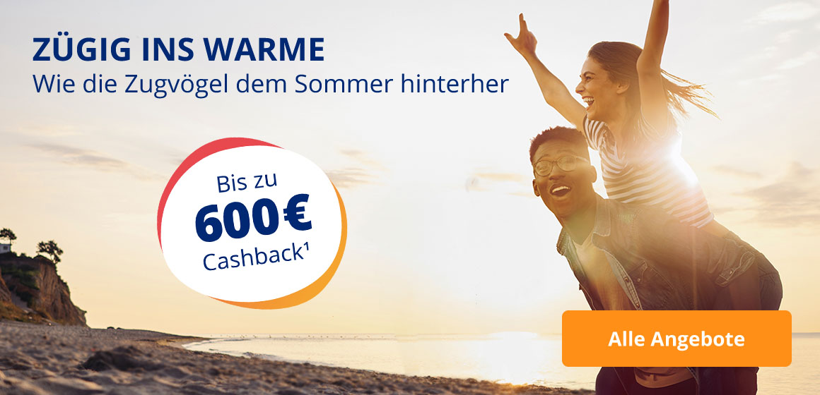 Wie die Zugvögel dem Sommer hinterher