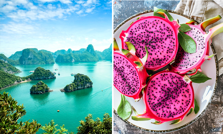 Vietnam