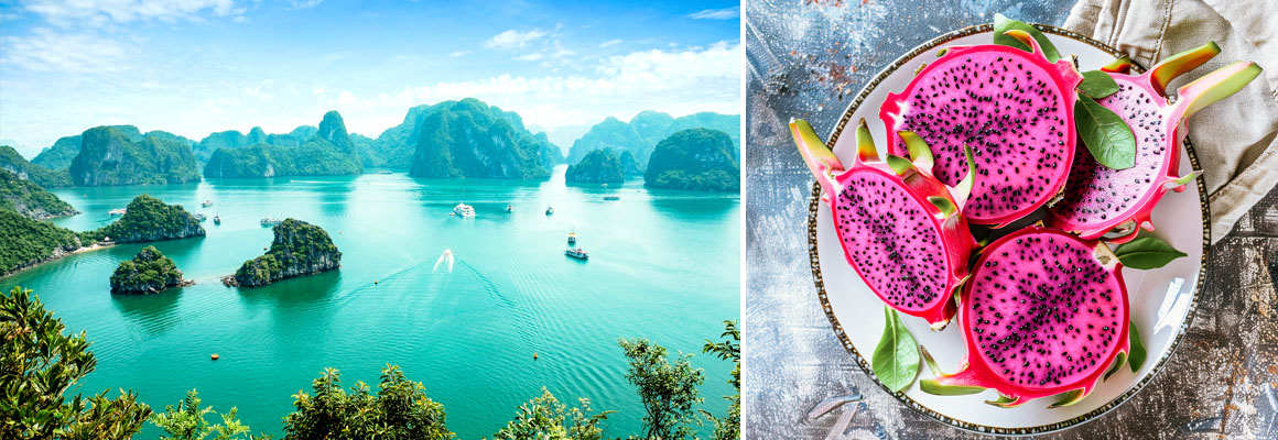Vietnam