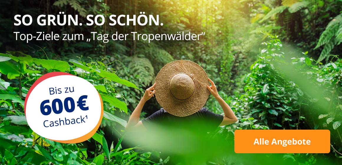 Grüne Top-Ziele zum „Tag der Tropenwälder