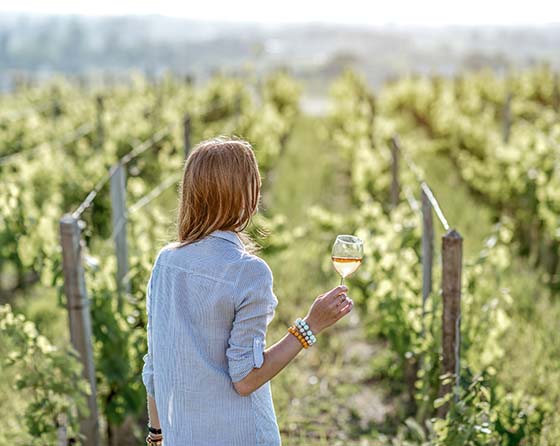 Weinproben und Weingut-Touren in Frankreich bei GetYourGuide