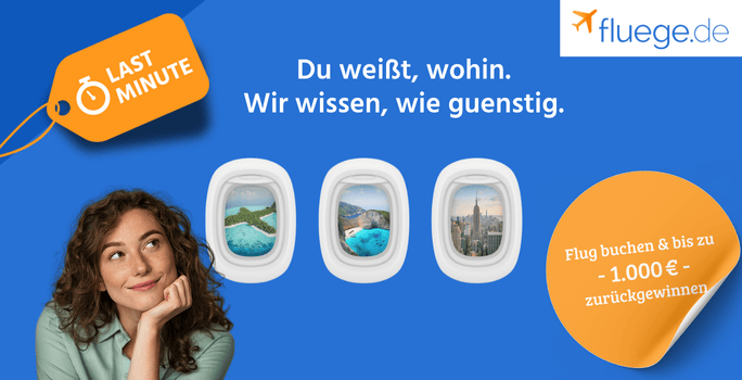 Flug buchen bei Fluege.de