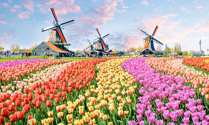 Niederlande