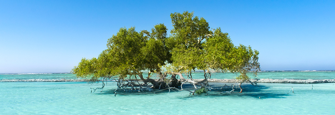 Marsa Alam, Ägypten