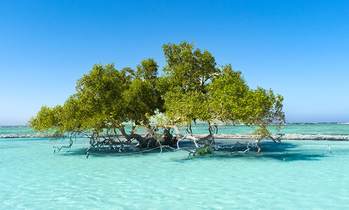 Marsa Alam, Ägypten