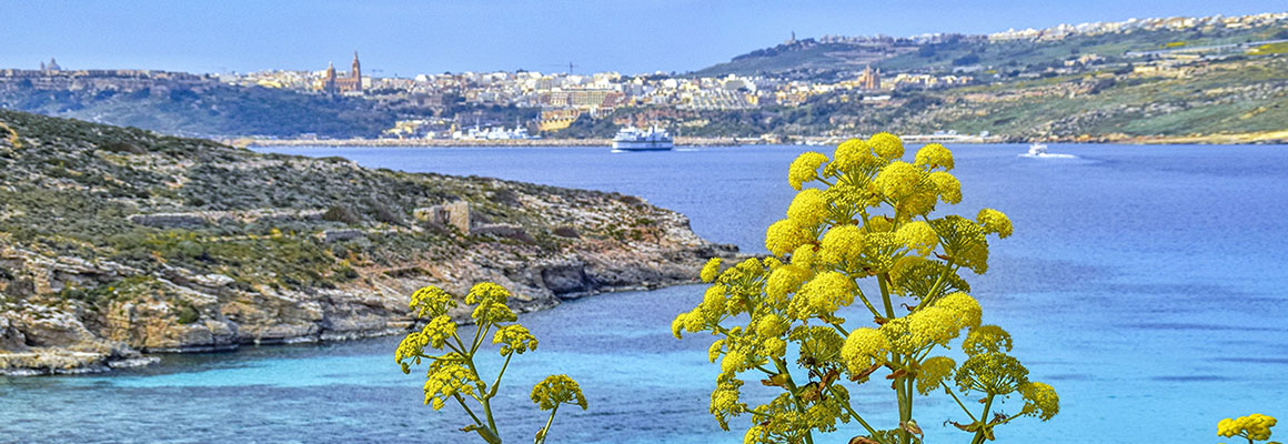 Malta