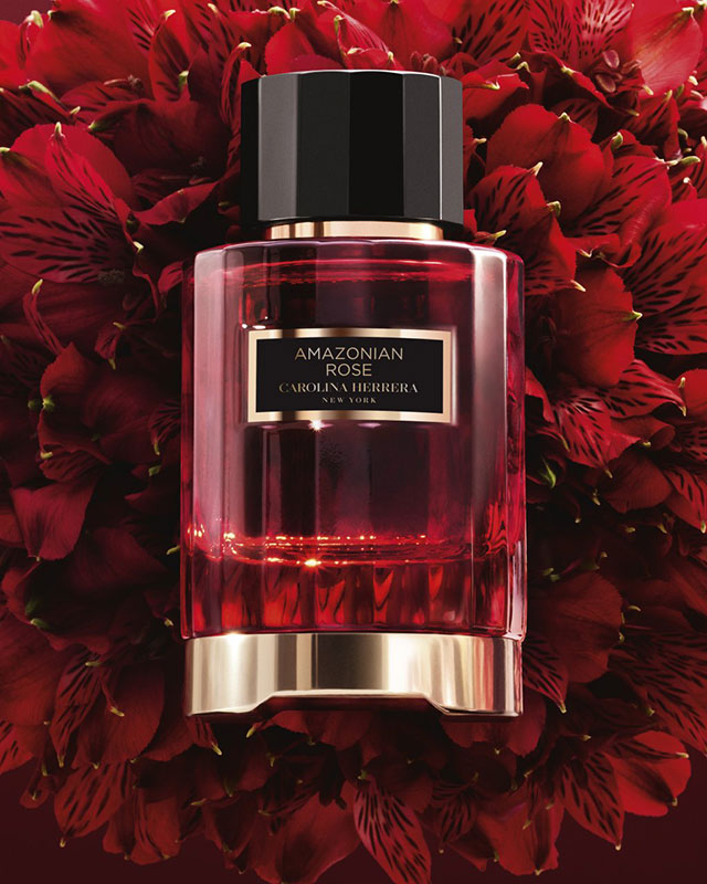 The Beauty of Florals