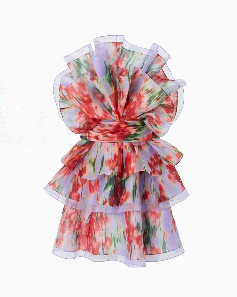 Floral-Print Organza Ruffled Mini Dress