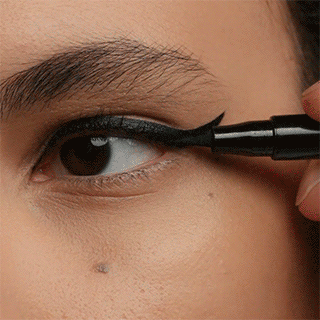 The Bold Feline Flick