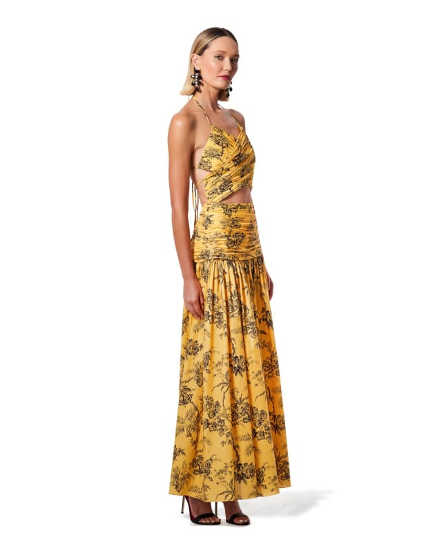 5. Botanical Toile Gathered Cutout Dress