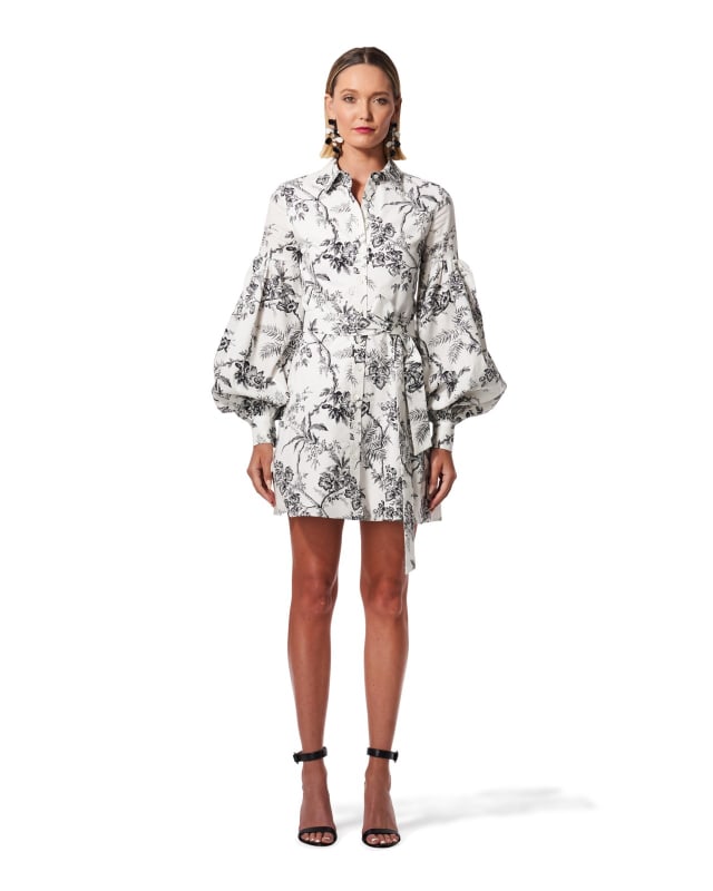1. Botanical Toile Puff-Sleeve Shirt Dress