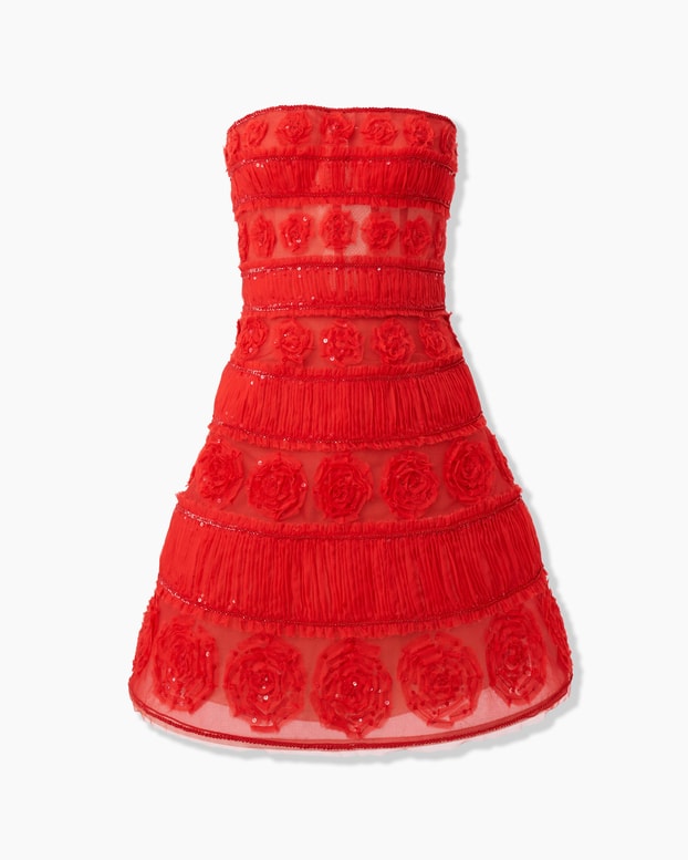 Embroidered Tulle Mini Dress