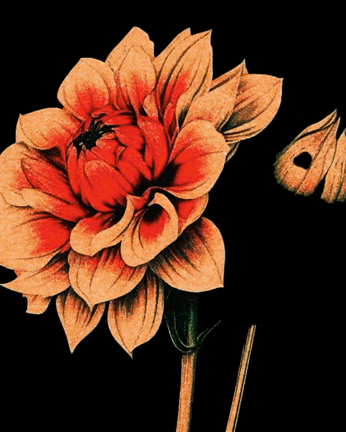 Save the Date for our Resort 2025 Runway Show