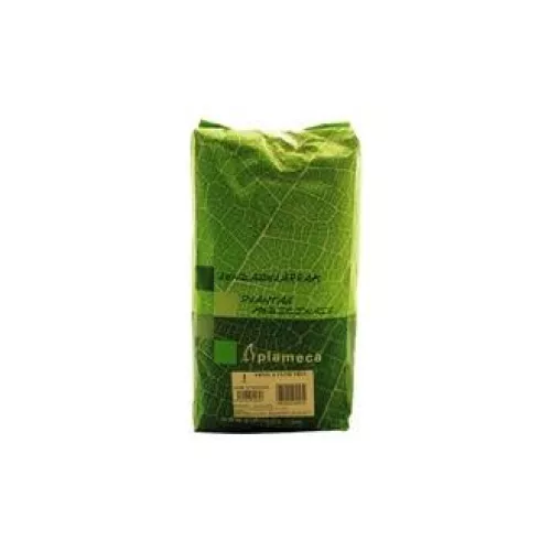 Hierba Árnica Flor Trit 1 kg - Plameca