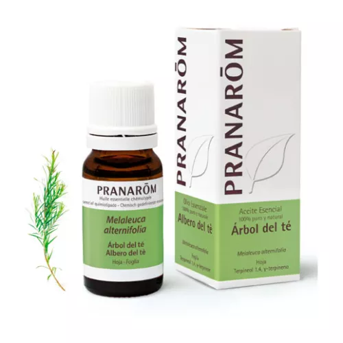 Pranarôm Aceite Esencial de Árbol de Té 10ml