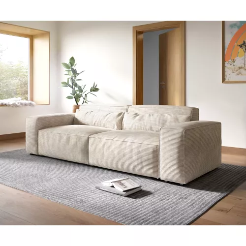 DELIFE Grand Canapé Sirpio XL 270x130 cm Velours côtelé Beige, Grands canapés