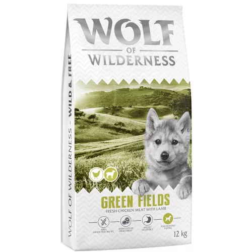 2 x 12 kg Wolf of Wilderness Junior ″Green Fields″ agneau, sans céréales