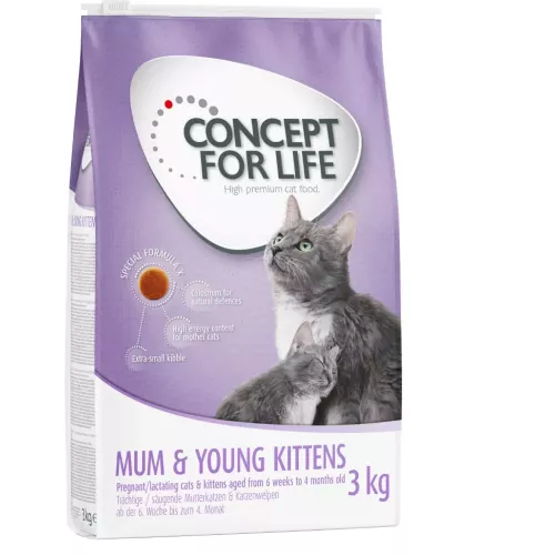 3kg Mum & Young Kittens chatte et chaton Concept for Life - Croquettes pour chat